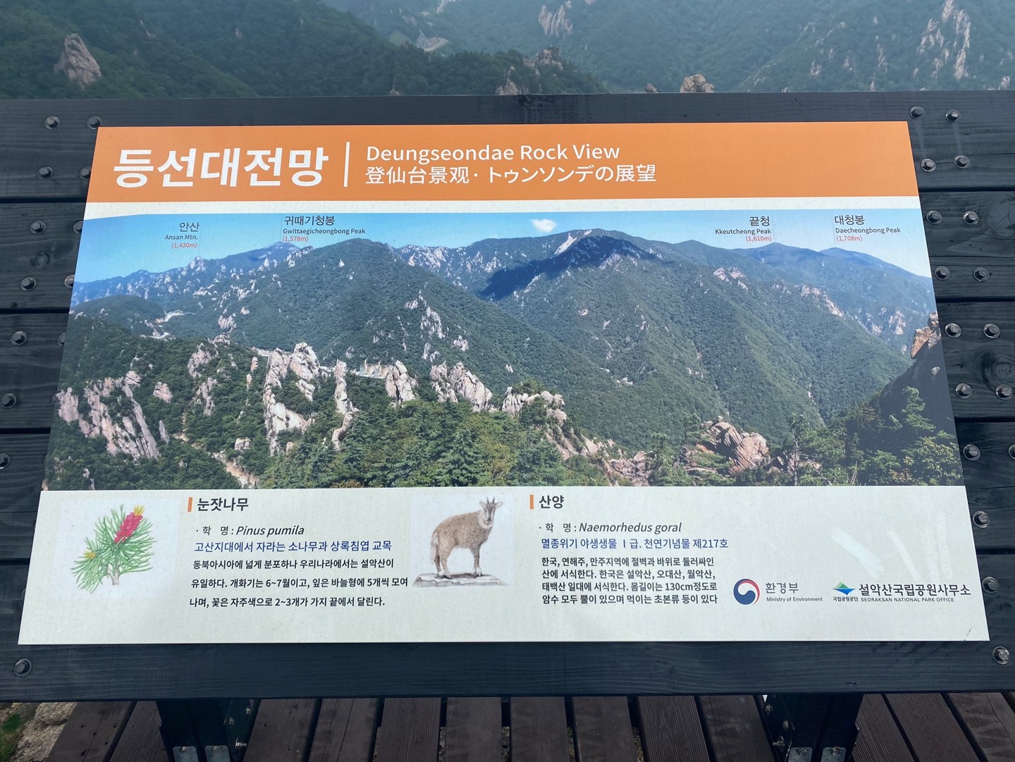 흘림골02