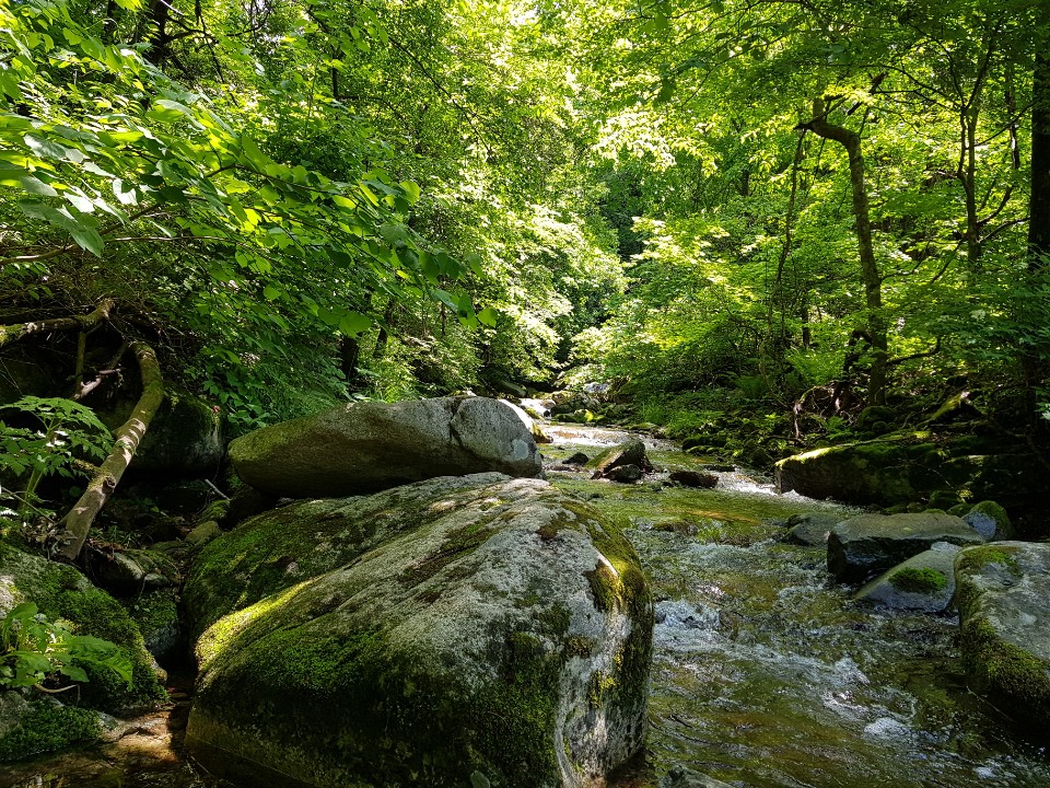 설악산 곰배골_2